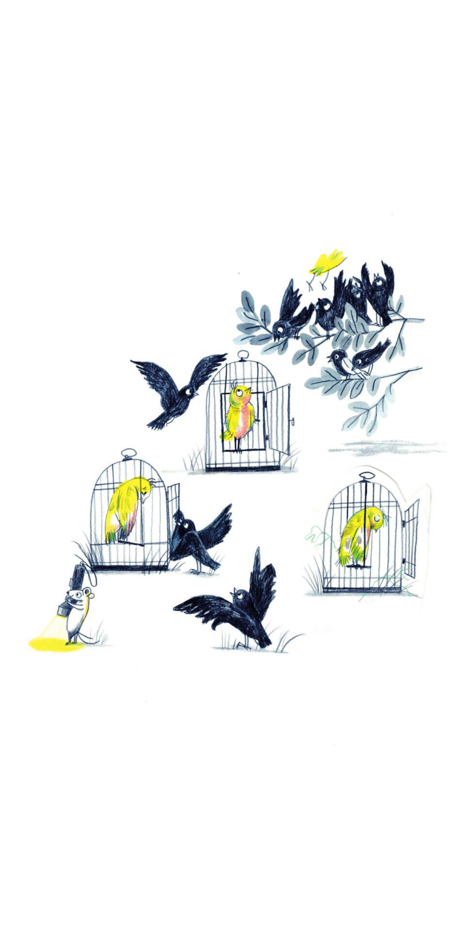 #114 Nele Palmtag: Durch den Wald (Vögel) Postkarte von Nele Palmtag: Durch den Wald (Vögel)