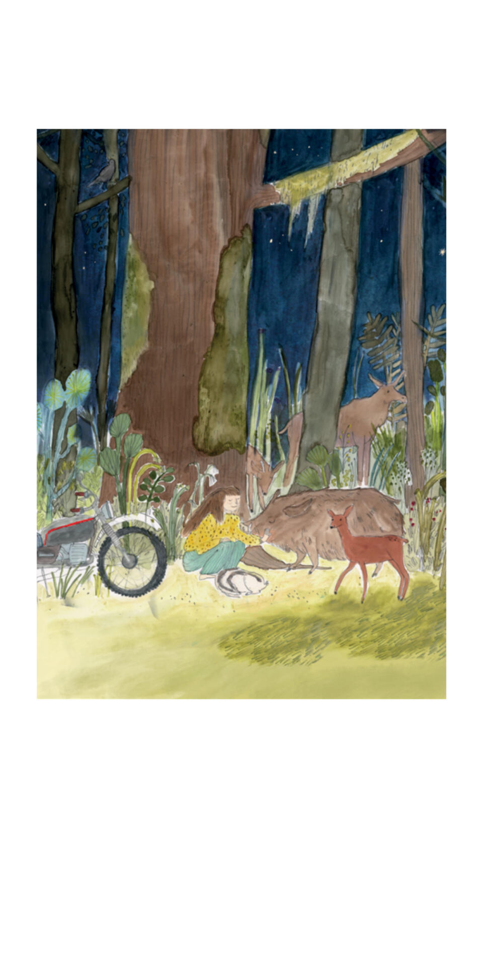 #117 Nina Hultsch: Ein Leben für den Wald (Pause im Wald) Postkarte von Nina Hultsch: Ein Leben für den Wald (Pause im Wald)